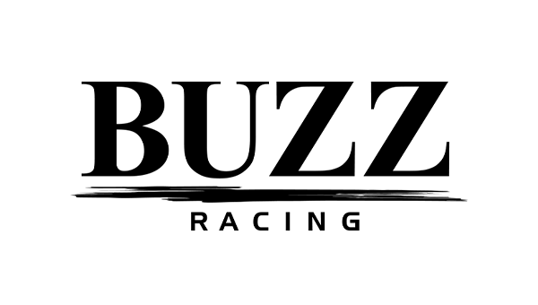 株式会社 BUZZ RACING 概要