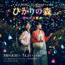 神戸六甲ミーツ・アート2024 beyond 「ひかりの森～夜の芸術散歩～」追加開催決定！ 六甲山では紅葉のベストシーズンを迎えましたのサブ画像4