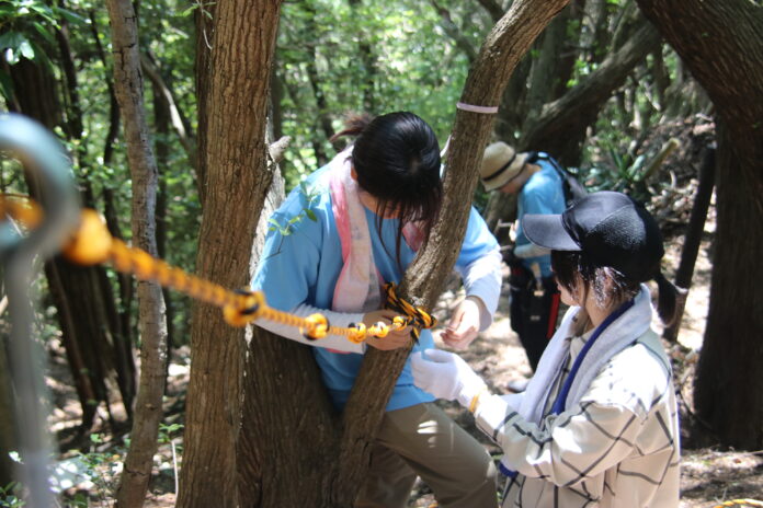 【学生のやりたいことを実現！】大学生が企画した「裏山再生計画」自ら整備した登山道を案内する”山歩きイベント”を開催！のメイン画像