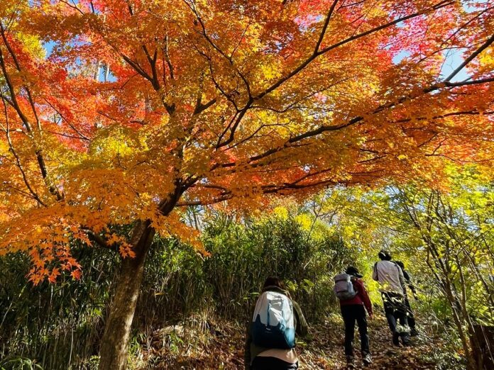 東大阪ツーリズム振興機構が参画する生駒山ブランド推進協議会、東大阪市・生駒市にまたがる「生駒山」を訪れるハイカーに向けた、「いこまやまいこ！」入浴キャンペーンを実施のメイン画像