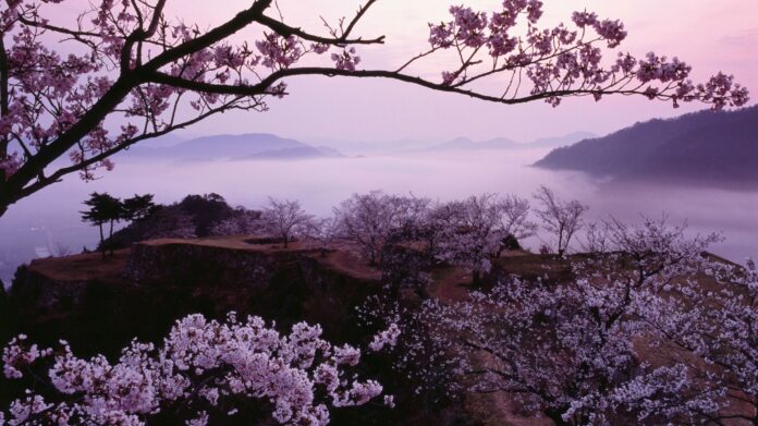 【春の絶景！桜や新緑の息吹を楽しむ】竹田城跡「春の登山セット」販売｜竹田城 城下町 ホテル EN｜2025年3月1日～2025年5月31日のメイン画像