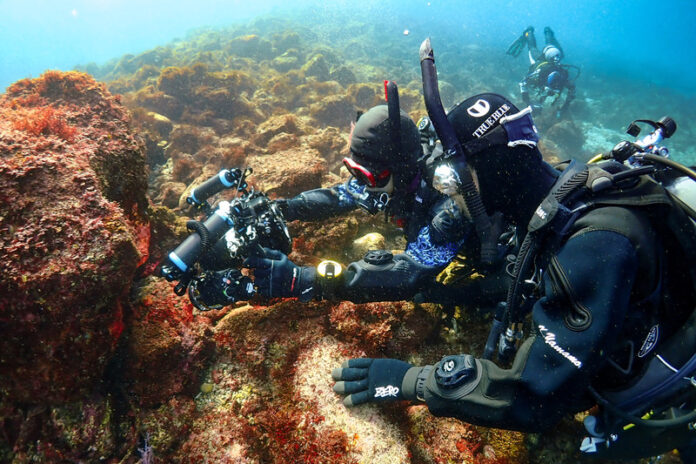 ＜イベントレポート＞透明度抜群の冬の海で繰り広げる水中フォトコンテスト！パパラギダイビングスクール主催 「クリスタルカップ2025」開催報告のメイン画像