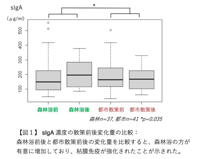 森林浴が粘膜免疫を強化することをランダム化比較試験で確認のメイン画像