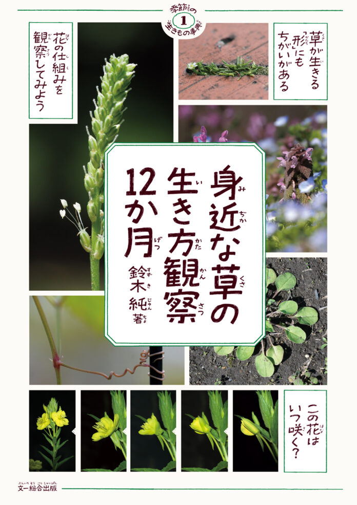 身近な草花から植物の「ふしぎ」や「おもしろい！」を発見しよう！『身近な草の生き方観察12か月』発売！のメイン画像