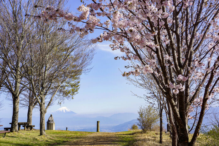 【信州八ヶ岳】4月5日（土）富士見高原リゾートの天空カート運行開始！のメイン画像