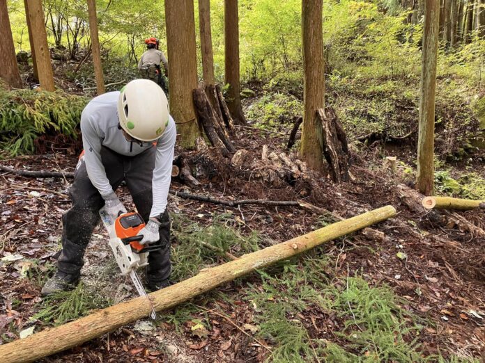 東京山間地域の春、新たなBBQ施設、体験プログラムが続々、登場！！のメイン画像