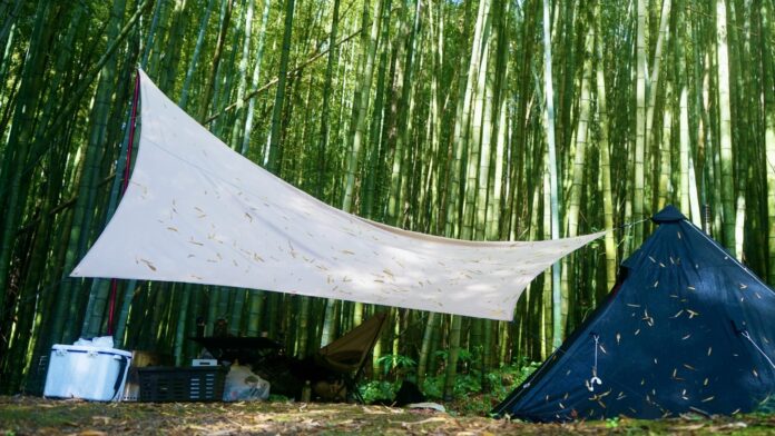 都市近郊で始まる新しい竹林利用　「森林レンタル」サービスが茨城県龍ヶ崎市に誕生のメイン画像