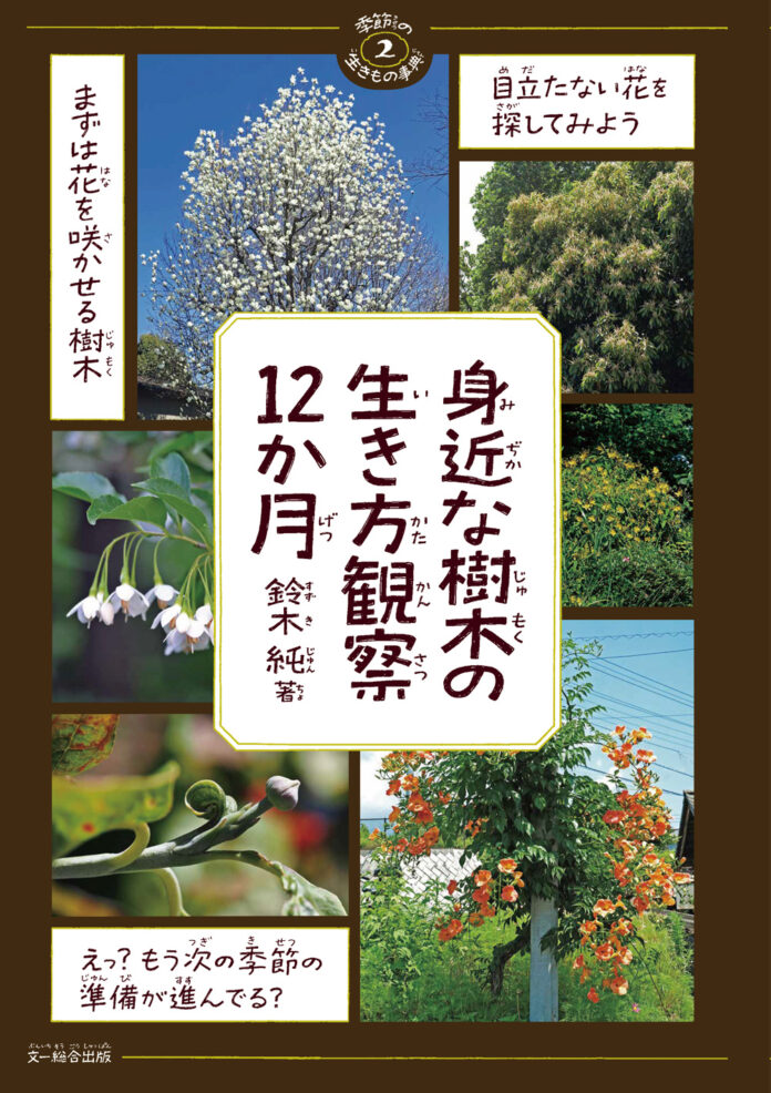 身近な場所で観察できる、楽しい樹木観察のヒントが盛りだくさん!?『身近な樹木の生き方観察12か月』発売中！のメイン画像