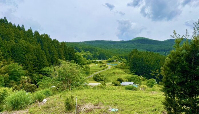 森は“所有”から“レンタル”する時代へ。都市と自然が交わる静岡県浜松市天竜区に、プライベートな森林空間が誕生。のメイン画像