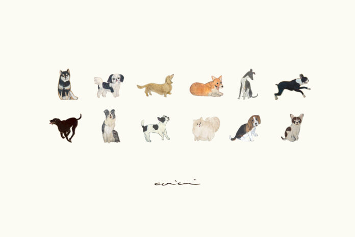 【全12犬種企画】同犬種の輪がつながる！リアルな“犬友”ができるオフ会のメイン画像