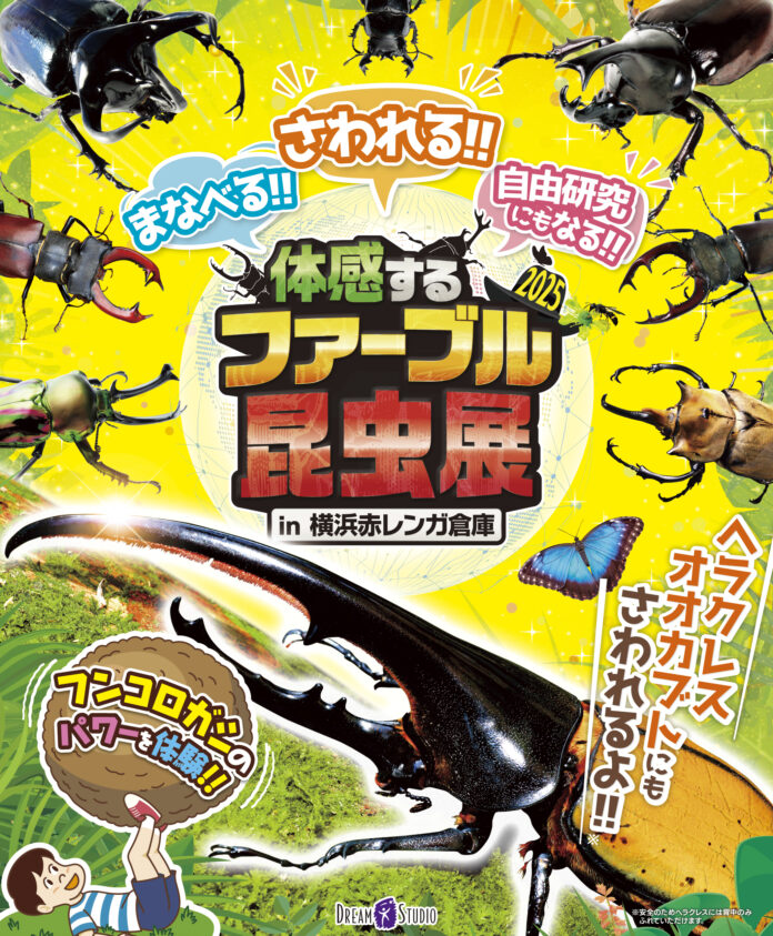 夏休みの自由研究にもぴったり！この夏は「体感するファーブル昆虫展 2025 in 横浜赤レンガ倉庫」のメイン画像