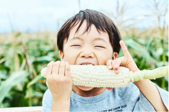 【即完売の“とうもろこし狩り”参加枠拡大で2025年も開催】京都舞コーン狩りで『夏の、最旬体験。』のメイン画像