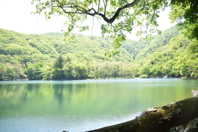 国立公園の大自然を感じ、五感で学ぶ体験ツアー開始＠北海道えりものメイン画像