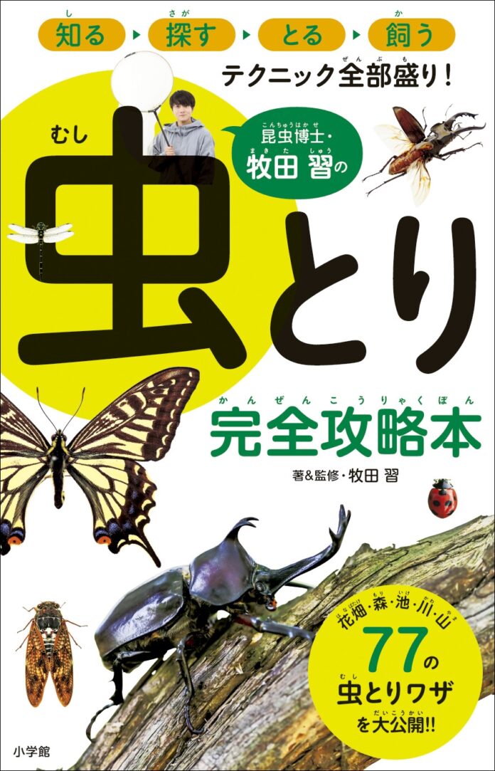 「昆虫採集」のすべてがわかる！ イケメン昆虫博士がガイドする虫とり完全攻略本が登場のメイン画像