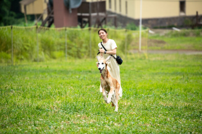 妙高の雄大な自然に包まれる、愛犬のための楽園が誕生のメイン画像