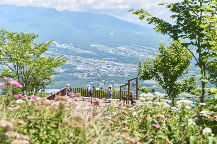 涼と花の頂へ。入笠山の“涼眺百花（りょうちょうひゃっか）”。夏の絶景と花時間のメイン画像