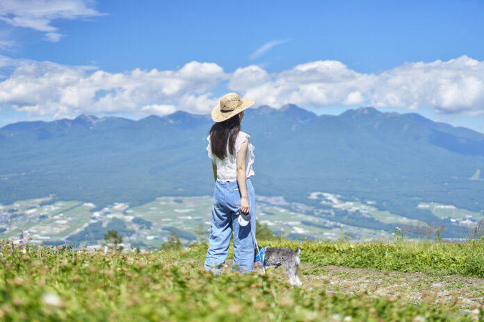 富士見パノラマリゾートで楽しむ、愛犬との涼やかな高原時間。登山・ランチ・音楽・星空も満喫のメイン画像