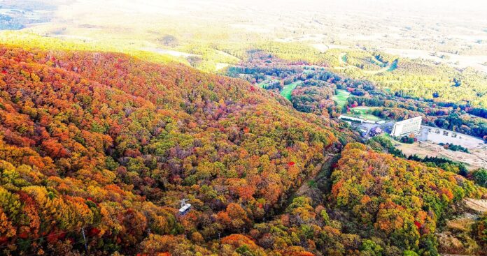 今シーズン新たに早朝運行も開始　雫石紅葉ロープウェー『秋の空中散歩＆Autumn Walk』を開催【雫石プリンスホテル・スキー場】のメイン画像