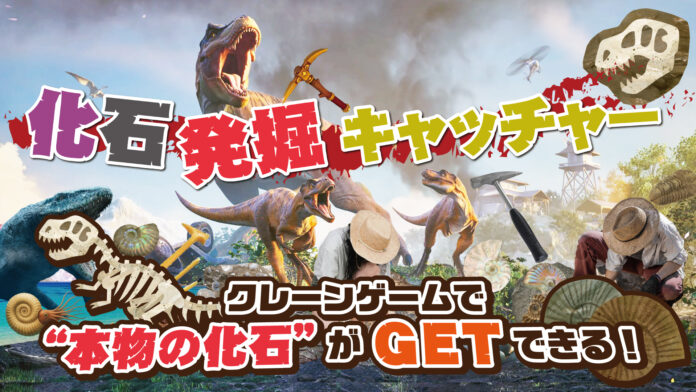 クレーンゲームで本物の化石を発掘！？夏休みにぴったりの“知的クレーンゲーム”が誕生！エブリデイでしか体験することができない特別な体験をお届けしますのメイン画像