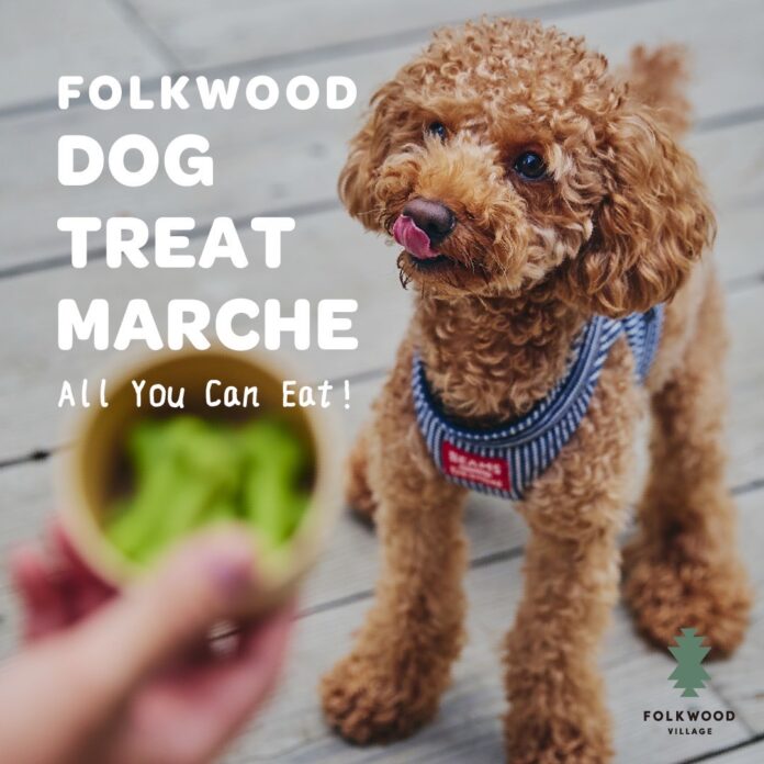 【わんちゃんと一緒に楽しむ！】FOLKWOOD VILLAGEで、わんちゃんの“おやつマルシェ”がスタート。のメイン画像