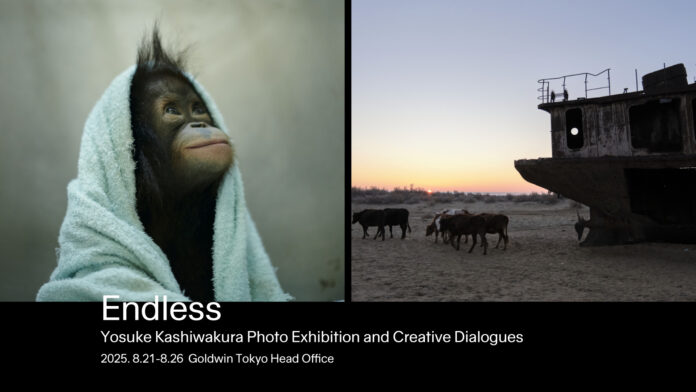 ネイチャーフォトグラファー 柏倉陽介による写真展と体験型イベント「Endless」をゴールドウイン東京本社にて開催のメイン画像