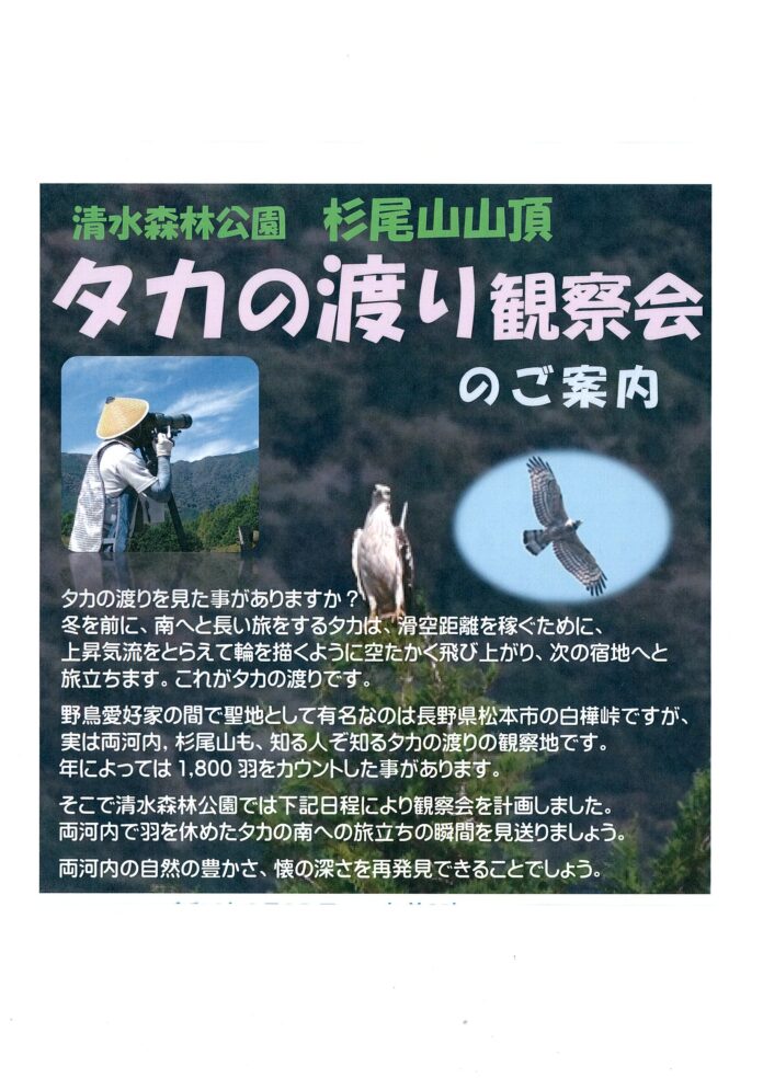 9月28日、国内有数、知る人ぞ知る観察地「清水森林公園　杉尾山」にて「タカの渡り観察会」開催のメイン画像
