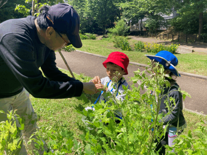 【こどもの休日の過ごし方】中学受験理科頻出！生物分野を楽しく学ぼうのメイン画像