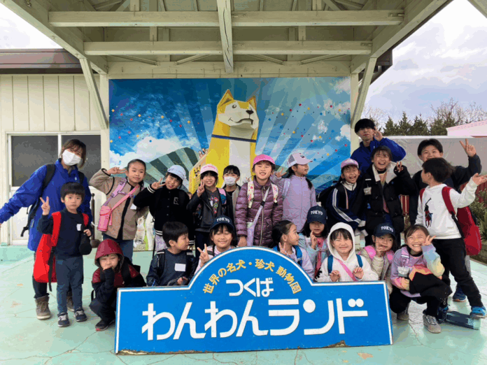 【こどもの休日の過ごし方】 つくばワンぱくキャンプ～つくばわんわんランドでたくさんのワンちゃんと触れ合おう！～のメイン画像