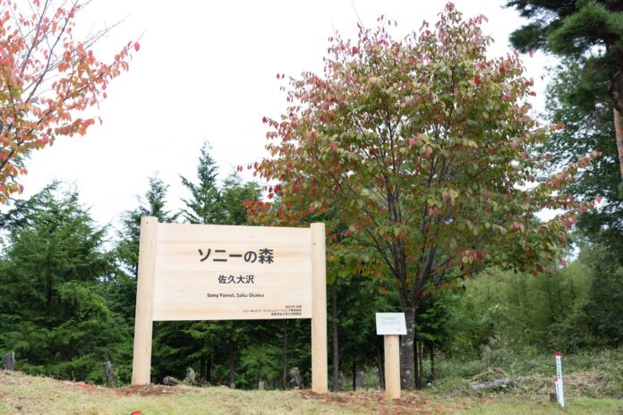長野県佐久市大沢財産区における森林整備活動拠点の名称変更についてのメイン画像
