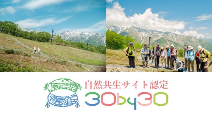 白馬五竜高山植物園が、環境省が定める「自然共生サイト」に認定されましたのメイン画像