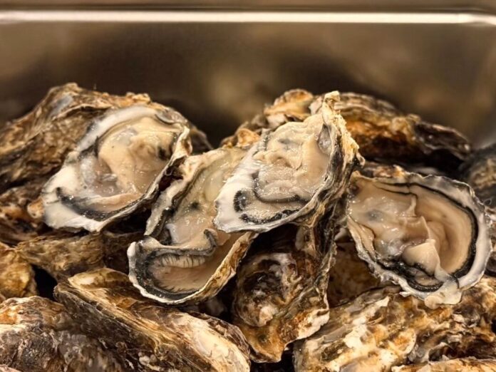 牡蠣小屋【かき太鼓】が11月21日 アズ熊谷にRENEWAL OPEN！＜熊谷市＞のメイン画像