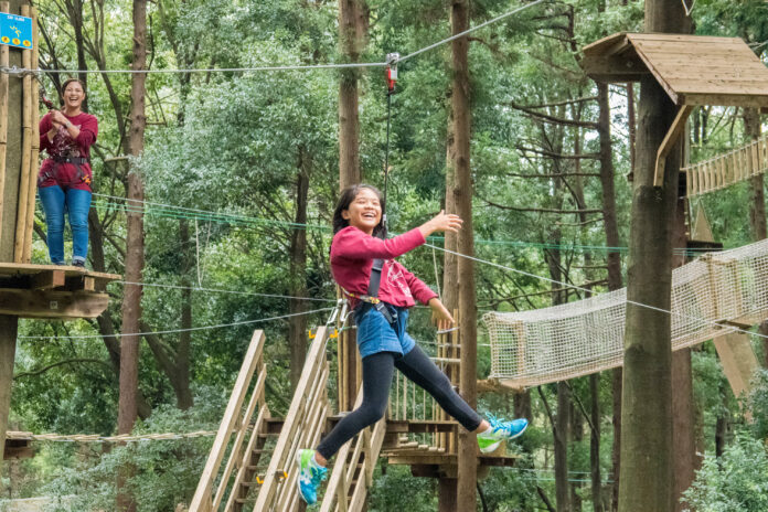 “挑戦が自信に変わる！”フォレストアドベンチャー箱根が 「こども冒険バンク」会員50名を無料招待！のメイン画像