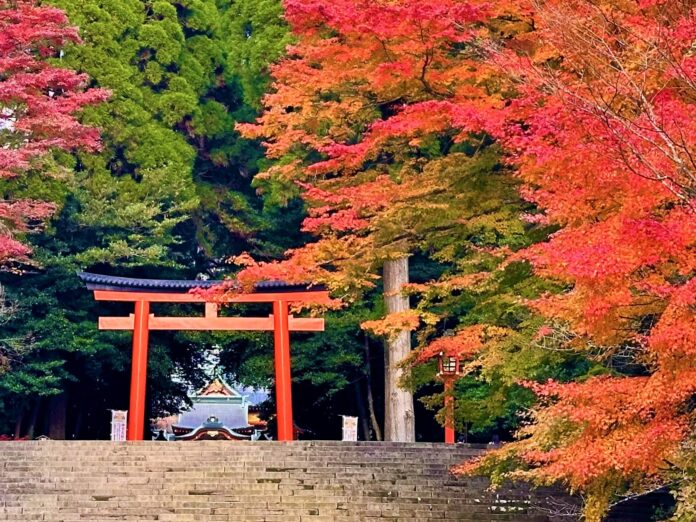 秋の霧島、紅葉スポットを紹介します！のメイン画像